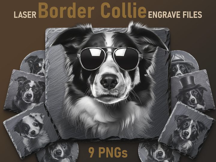 Border Collie Engraving - Digital PNG